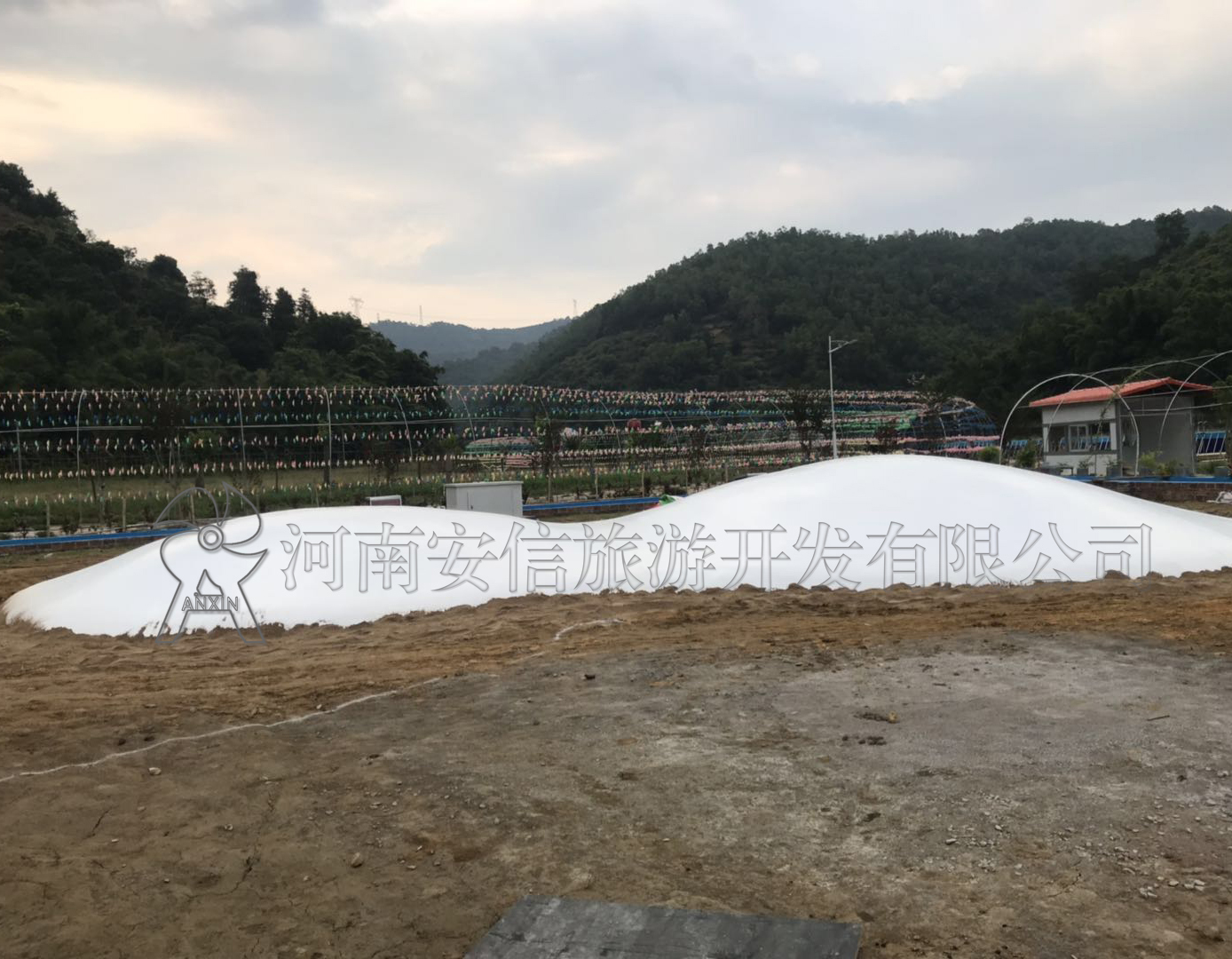 廣東省云浮市二球蹦蹦云