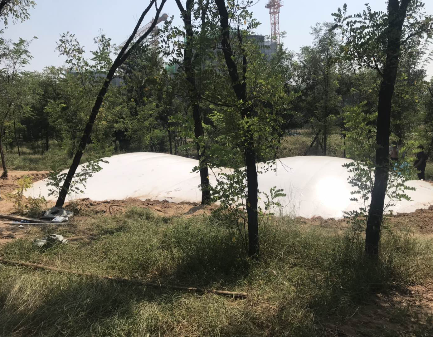 鄭州市中牟雙球蹦蹦云