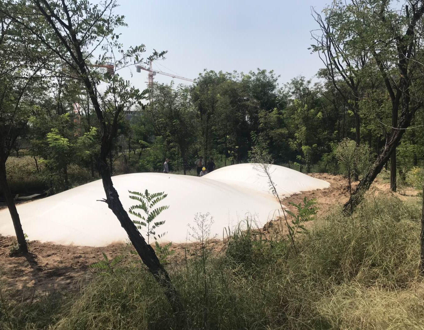 鄭州市中牟雙球蹦蹦云