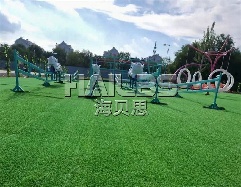 山東泰安七彩無動(dòng)力樂園